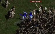 The secret cow level in Diablo 2 (Image via Blizzard)